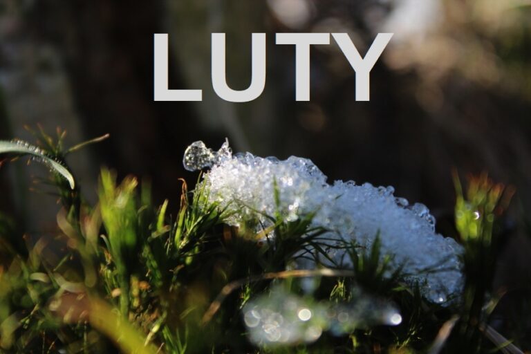 Luty w ogrodzie