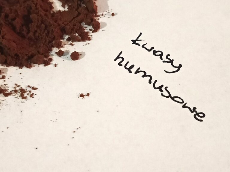 Kwasy humusowe